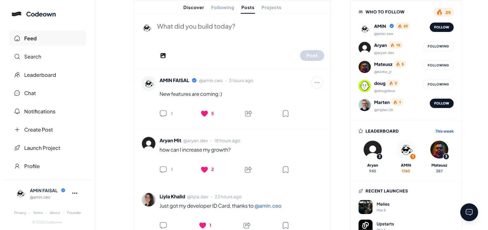 Codeown screenshot 1